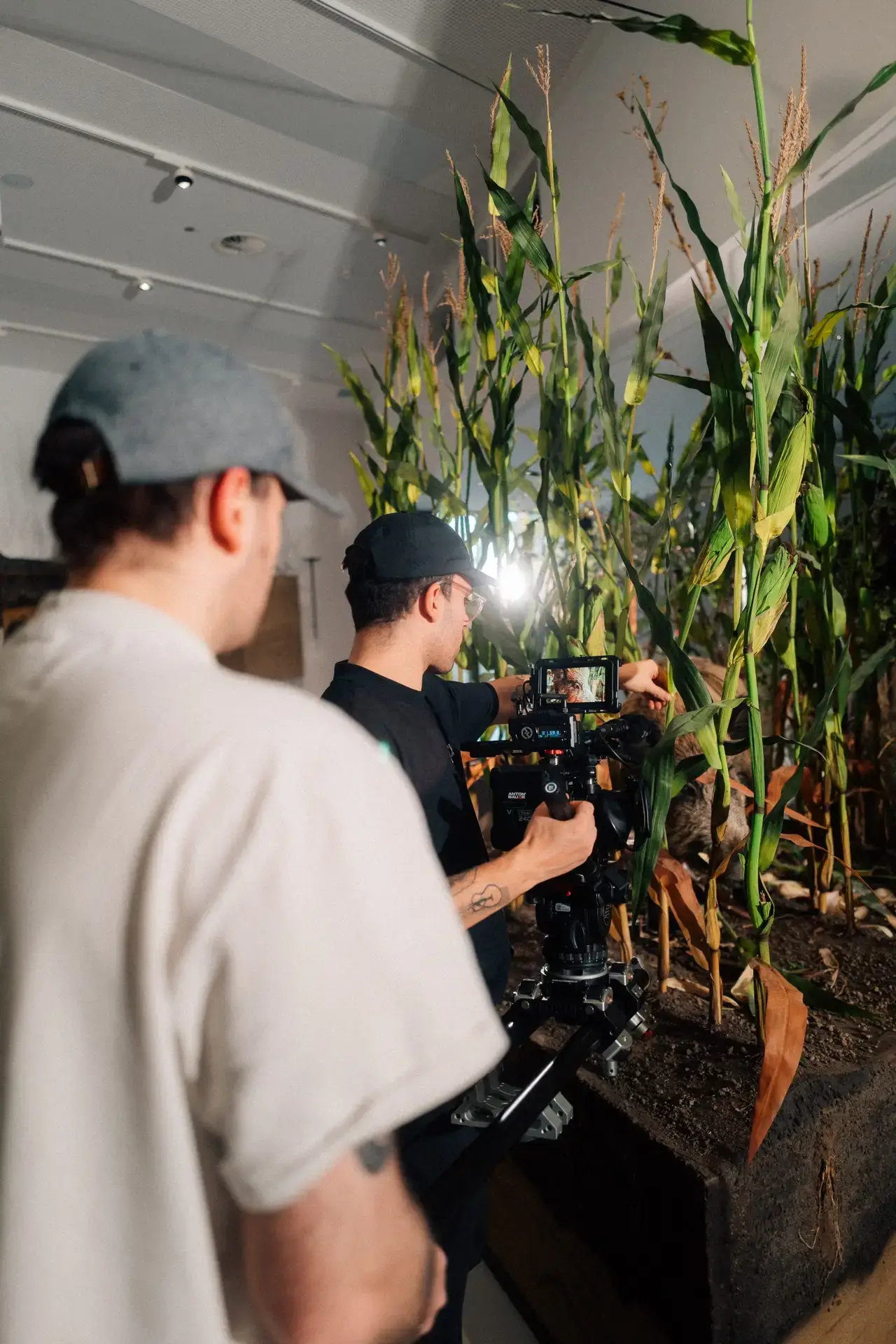 FIONA@WACH.STUDIO-8 Videodreh für das Museum am Schölerberg - Nahaufnahmen eines Exponats